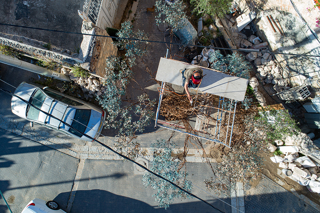 Der Baum wächst – im Freiluft-Atelier von Nihad Dabeet auf der Straße in Ramle.